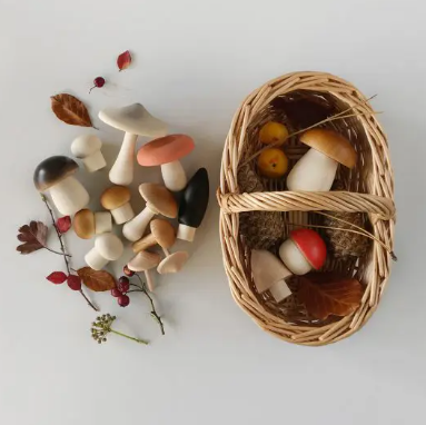 Forest Mushrooms Basket