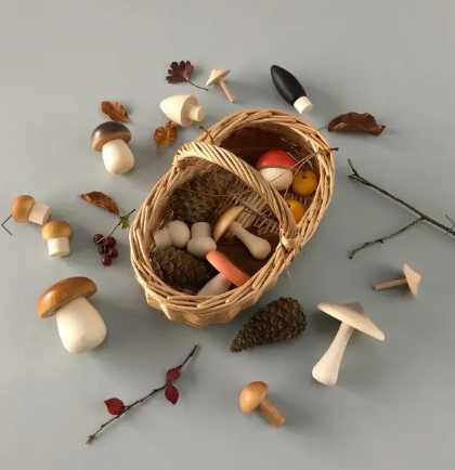 Forest Mushrooms Basket