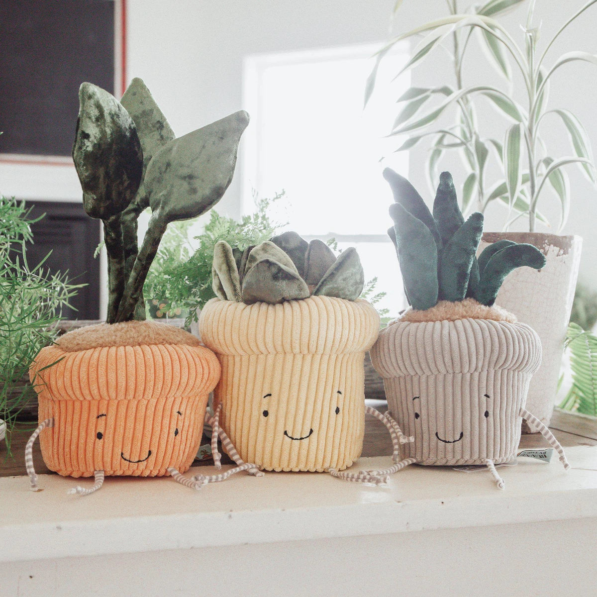 SNAKE PLANT WINDOWSILL PLUSH